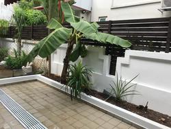Chwee Chian View (D5), Terrace #186208312
